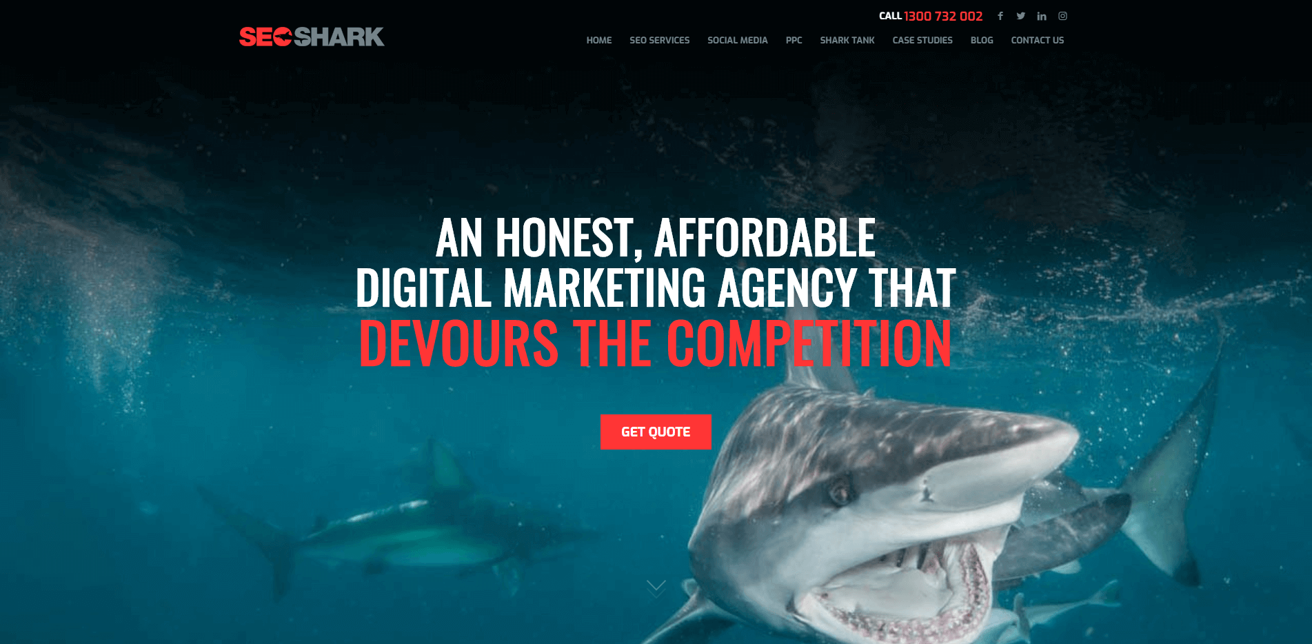 Home page of SEO shark – a Digital Marketing Agency