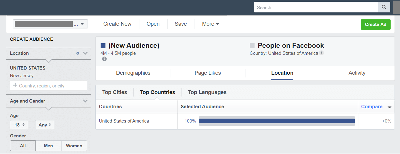facebook audience insights tool